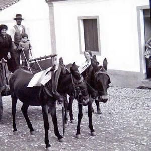 Meet your Posher, Linda